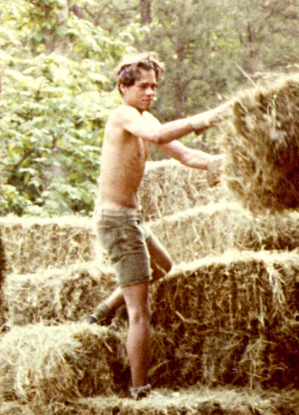 Walter bucking hay