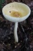 Chalice